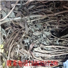批發(fā)青儲花生秧秸稈飼料 冬季牛羊儲備青貯飼料 牧草